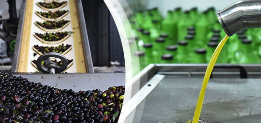 Gaziantep'te Zeytinyağı fiyatının göreceği rakam açıklandı. Zeytinyağı'nın Tenekesi Gaziantep'te En Az 6 Bin Lira Olacak! 5